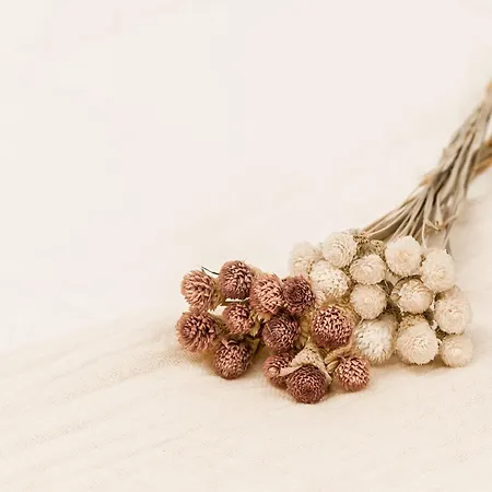 Haizean By Kabia Gestion * Gorliz