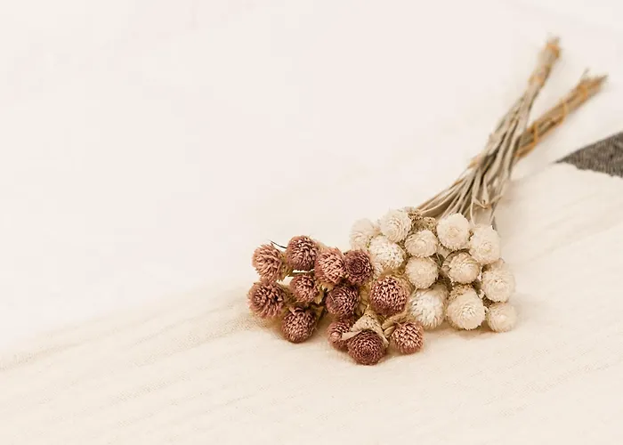 Haizean By Kabia Gestion * Gorliz